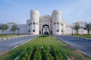 The Sheikh Sultan Award for Celebrating the Spirit of Youth is a pioneering initiative in the region designed to empower and develop young people in the UAE beyond academic achievement.